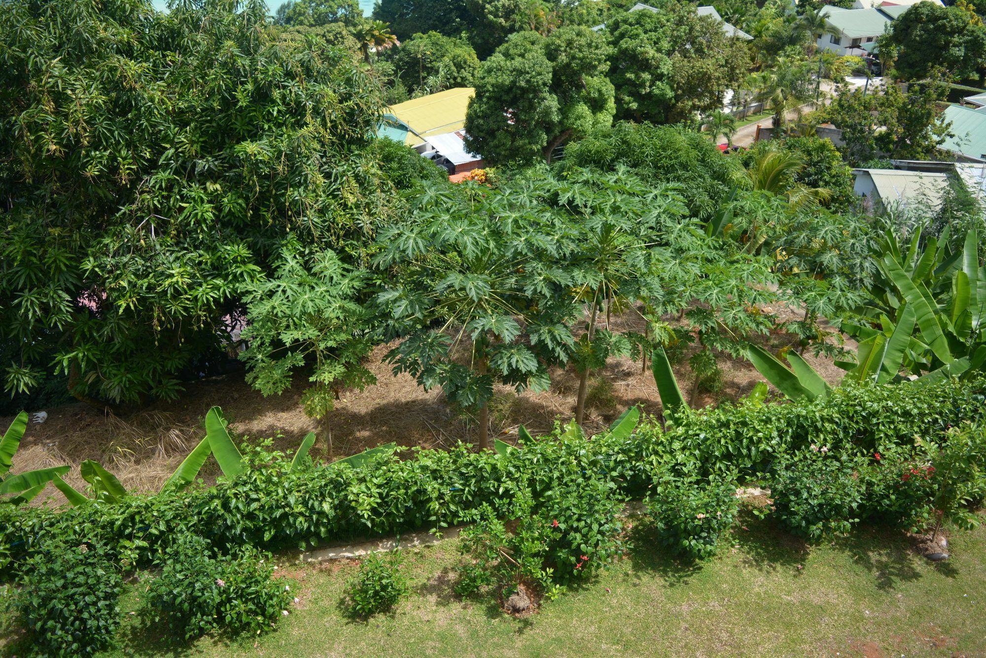 Manfiyo Guest House Anse Boileau Kültér fotó